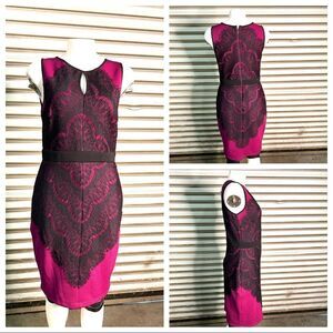 Thalia
Sodi dress sheath career sleeveless fuchsia pink  black lace